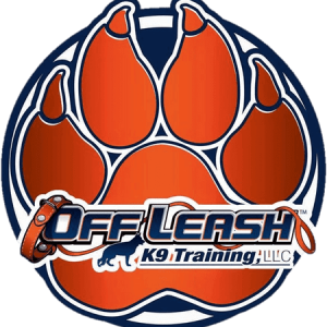 Picture of OLK9-Knoxville