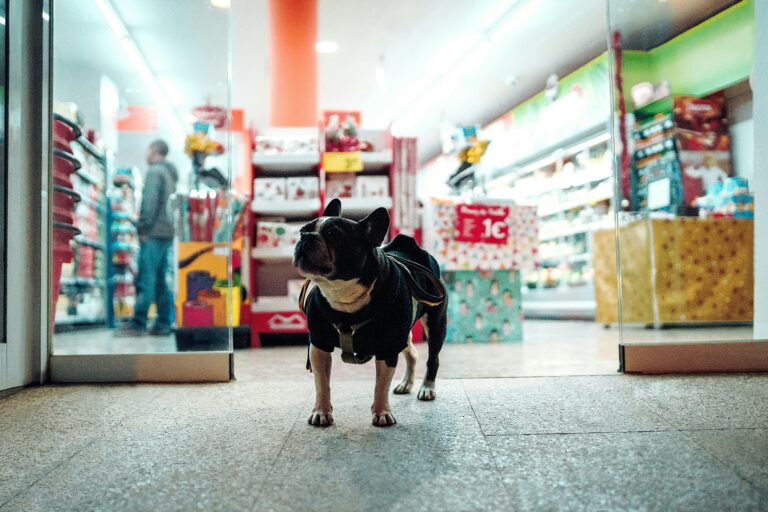 Some Dog Friendly Stores in Knoxville, TN